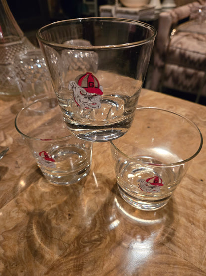 Georgia Bulldog Glass Set